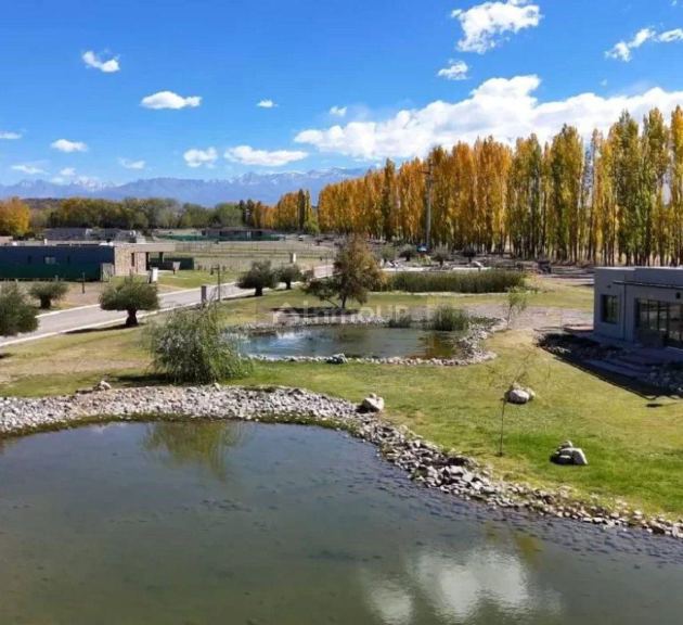Tupungato barrio Entrevides, RP 86, San José Tupungato, Atamisque, Mendoza