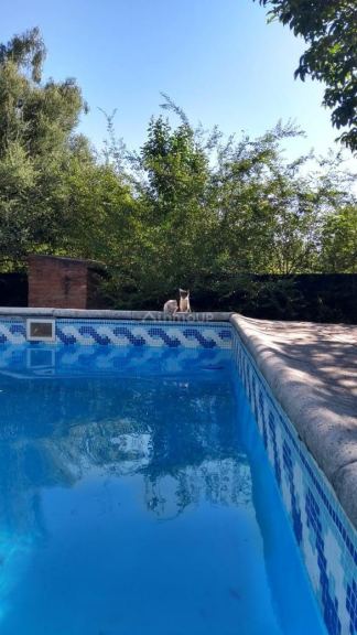 Chalet en Venta en Junin, San Luis