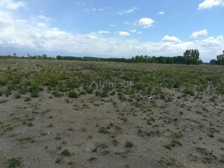Terreno en Venta en Tunuyan, Mendoza