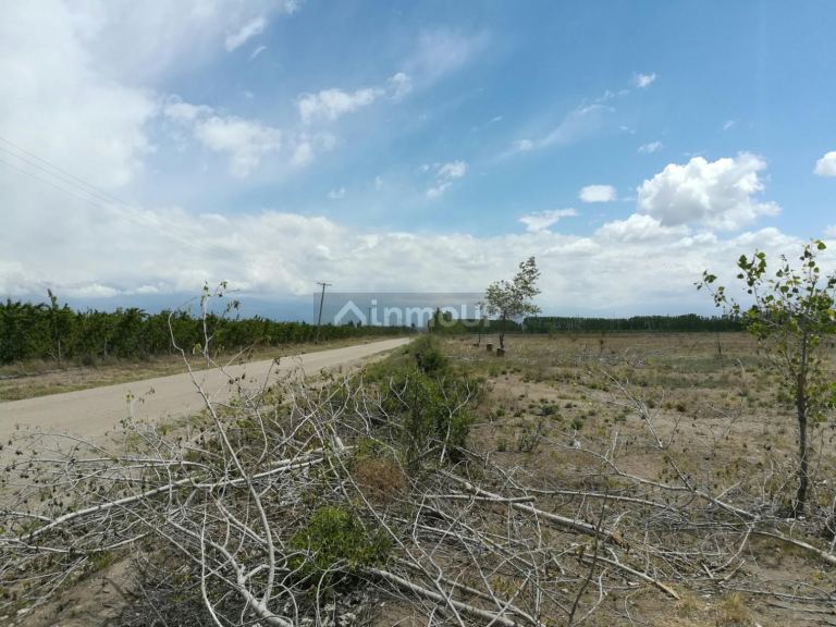 Terreno en Venta en Tunuyan, Mendoza