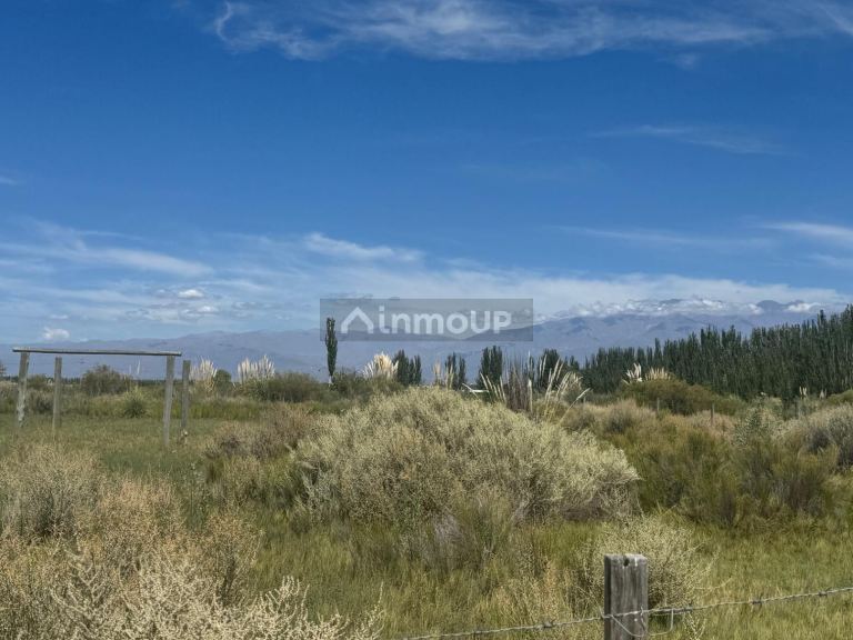 Terreno en Venta en Tunuyan, Mendoza