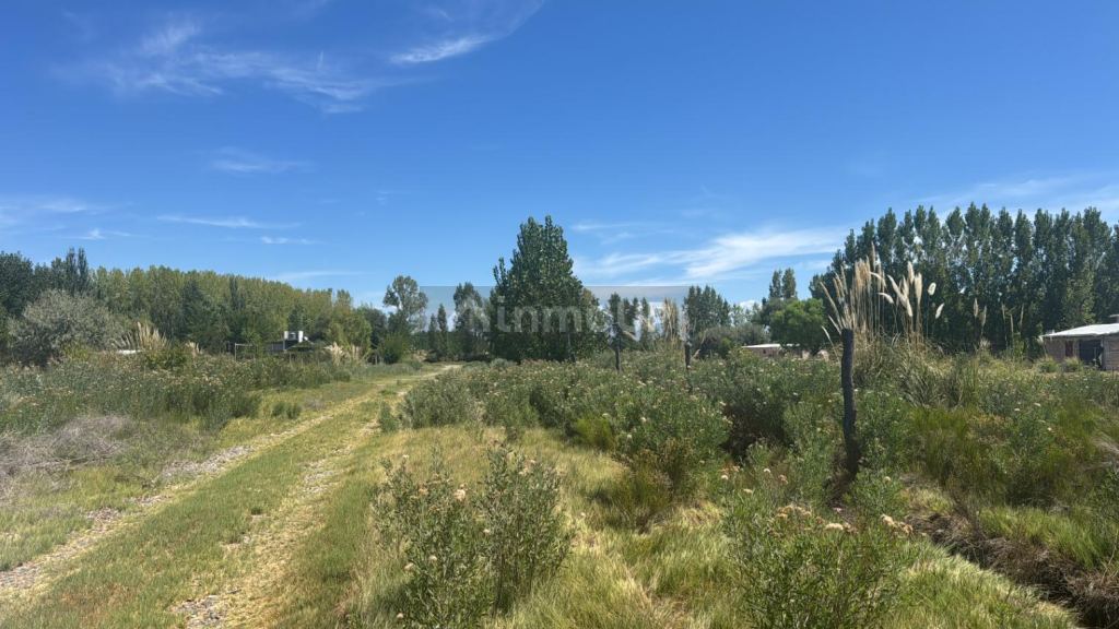 Terreno en Venta en Tunuyan, Mendoza