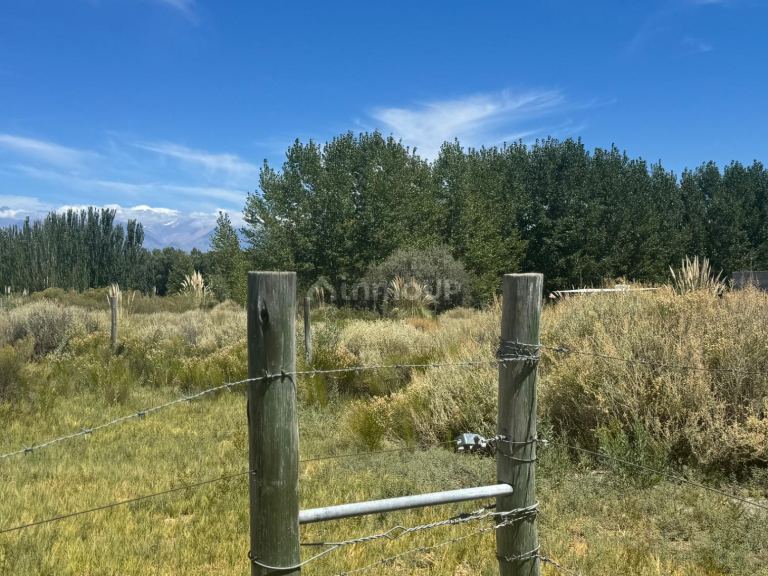 Terreno en Venta en Tunuyan, Mendoza