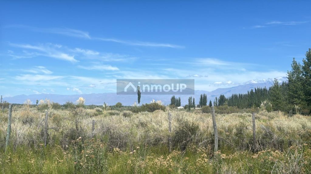 Terreno en Venta en Tunuyan, Mendoza