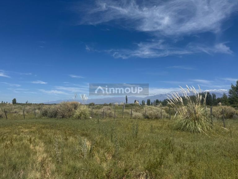 Terreno en Venta en Tunuyan, Mendoza