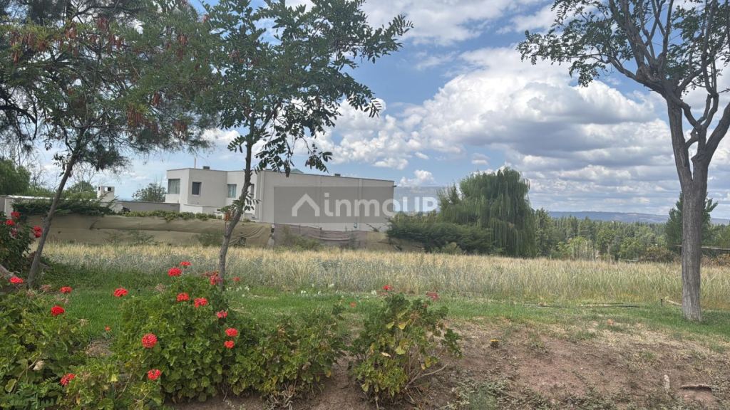 Terreno en Venta en Lujan de Cuyo, Mendoza