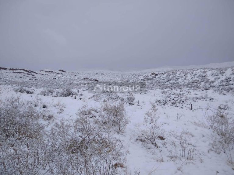 Terreno en Venta en Lujan de Cuyo, Mendoza