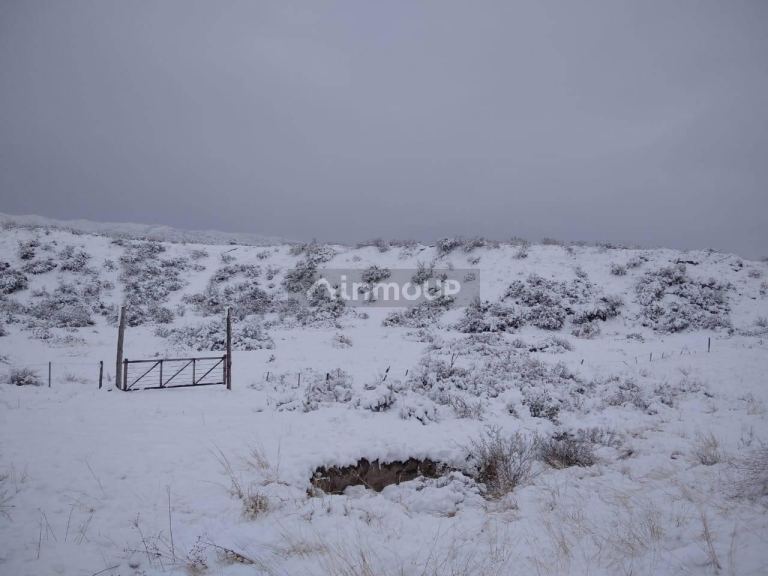 Terreno en Venta en Lujan de Cuyo, Mendoza