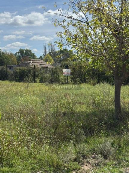 Terreno en Venta en San Rafael, Mendoza