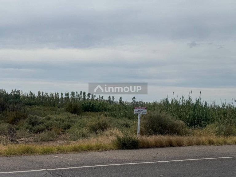 Terreno en Venta en Maipu, Mendoza