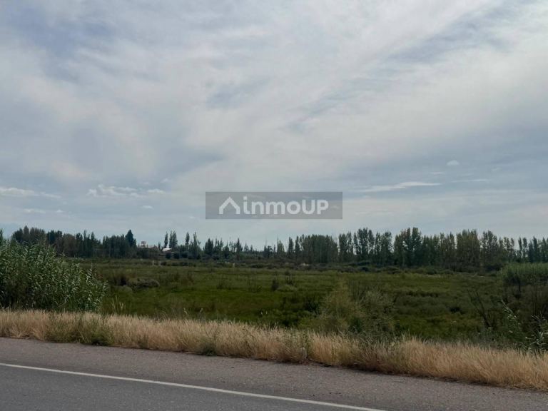 Terreno en Venta en Maipu, Mendoza