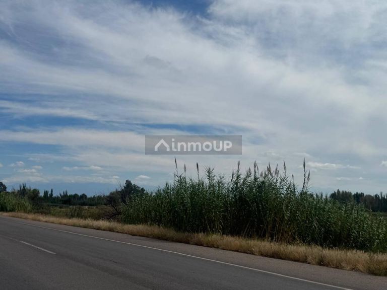 Terreno en Venta en Maipu, Mendoza