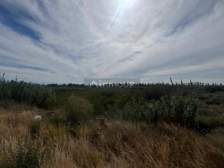 Terreno en Venta en Maipu, Mendoza