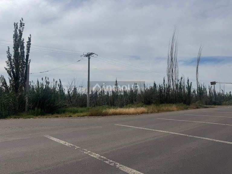 Terreno en Venta en Maipu, Mendoza