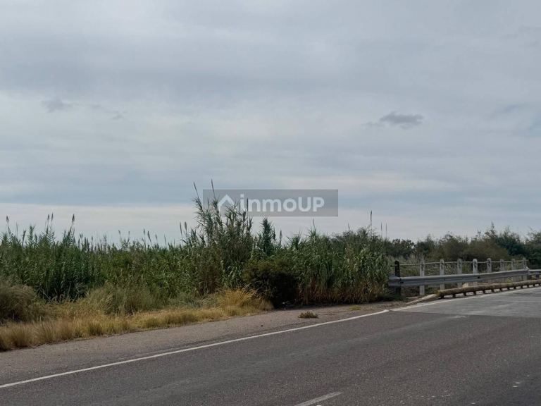 Terreno en Venta en Maipu, Mendoza