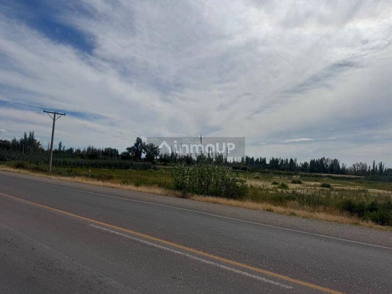 Terreno en Venta en Maipu, Mendoza