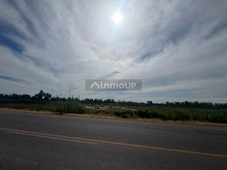Terreno en Venta en Maipu, Mendoza