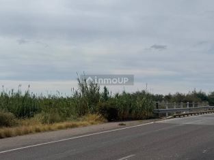 Maipu Ruta 60 y  la costa Mendoza Argentina