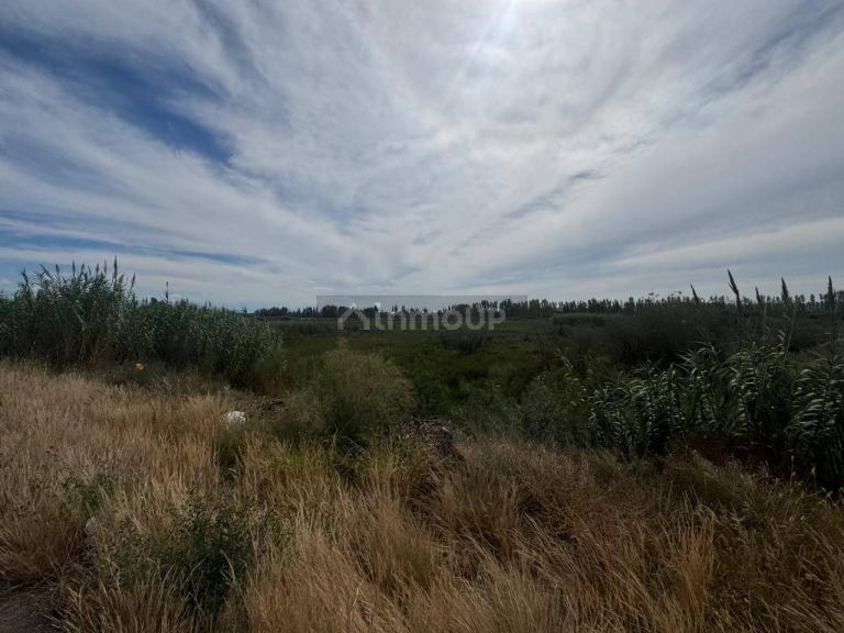 Terreno en Venta en Maipu, Mendoza