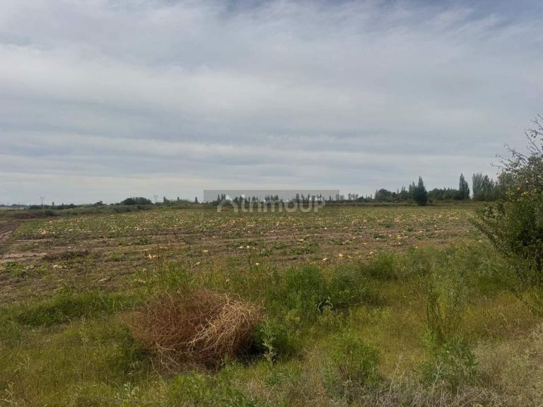 Terreno en Venta en Maipu, Mendoza