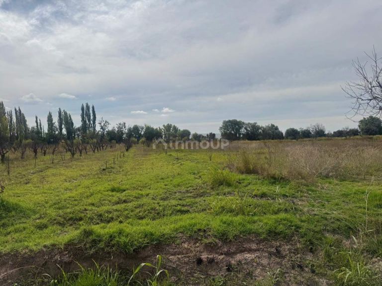 Terreno en Venta en Maipu, Mendoza