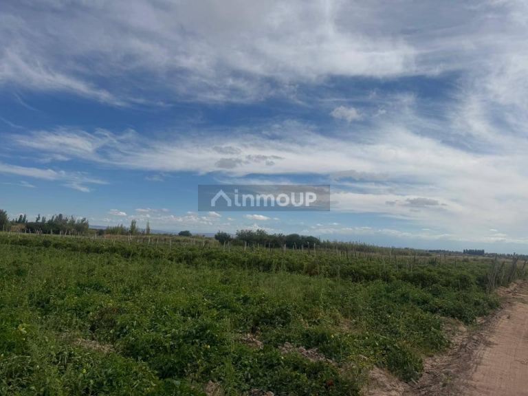 Terreno en Venta en Maipu, Mendoza