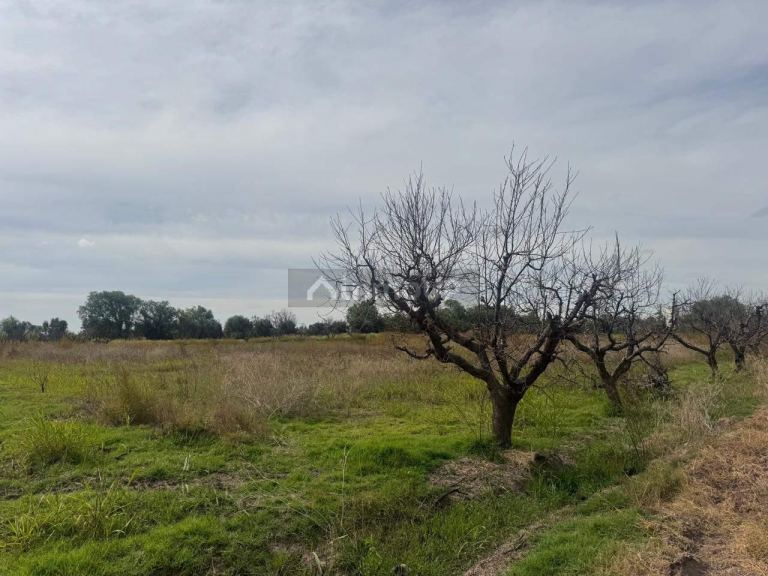 Terreno en Venta en Maipu, Mendoza