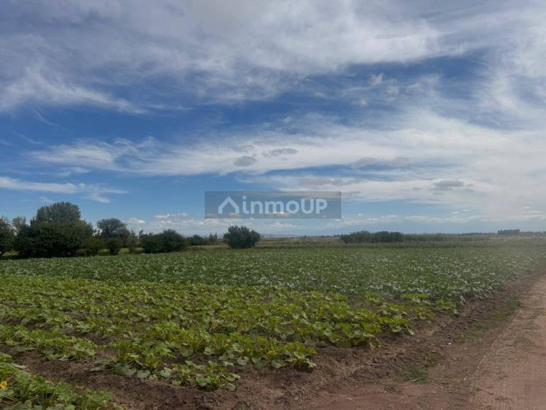 Terreno en Venta en Maipu, Mendoza