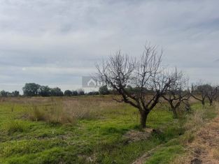 Maipu La Costa, y ruta 60  Maipú, Mendoza, Argentina