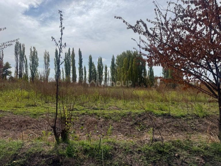 Terreno en Venta en Maipu, Mendoza