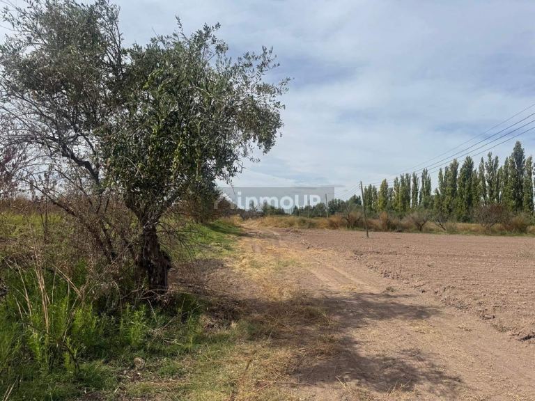 Terreno en Venta en Maipu, Mendoza