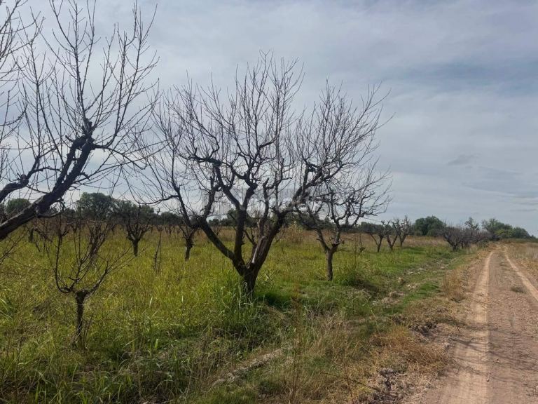 Terreno en Venta en Maipu, Mendoza