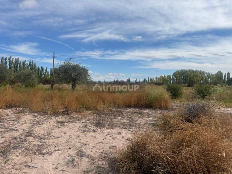 Terreno en Venta en Maipu, Mendoza