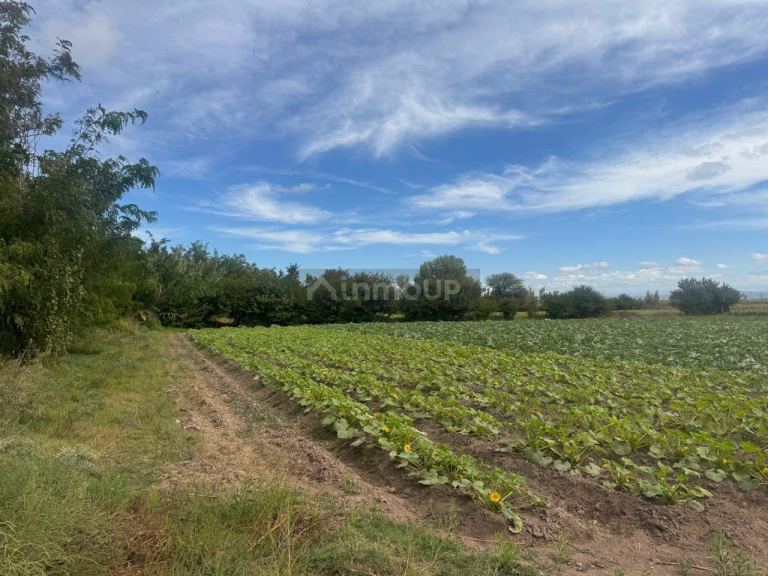 Terreno en Venta en Maipu, Mendoza