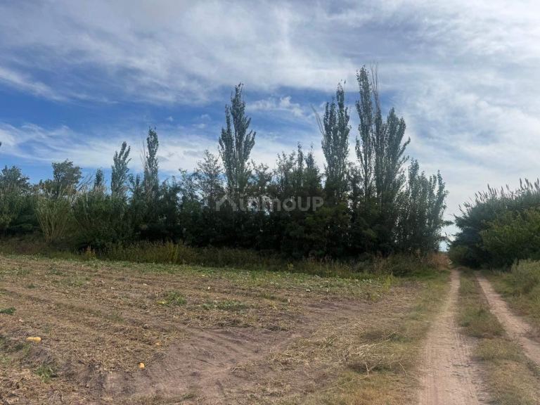 Terreno en Venta en Maipu, Mendoza