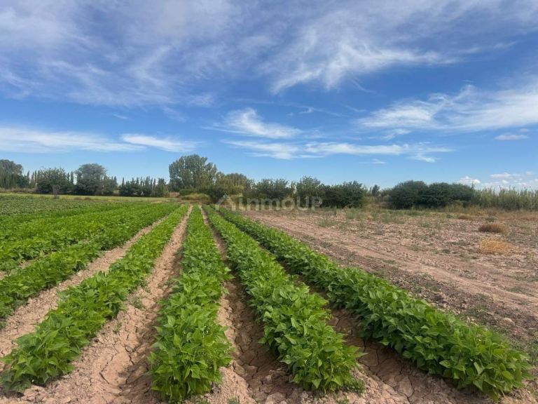 Terreno en Venta en Maipu, Mendoza