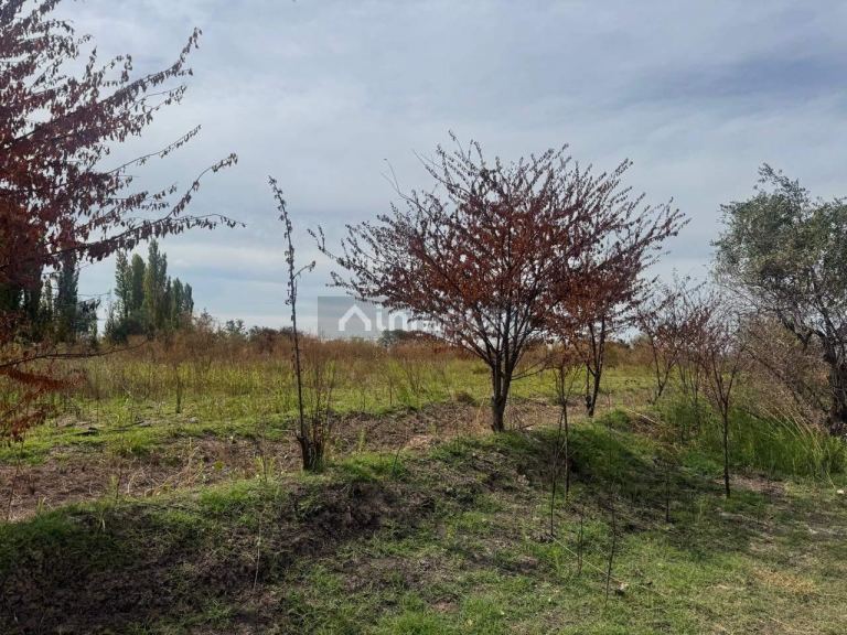 Terreno en Venta en Maipu, Mendoza
