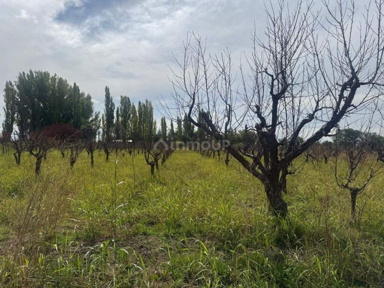 Terreno en Venta en Maipu, Mendoza