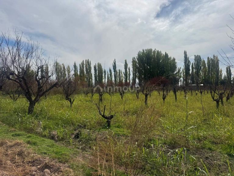 Terreno en Venta en Maipu, Mendoza