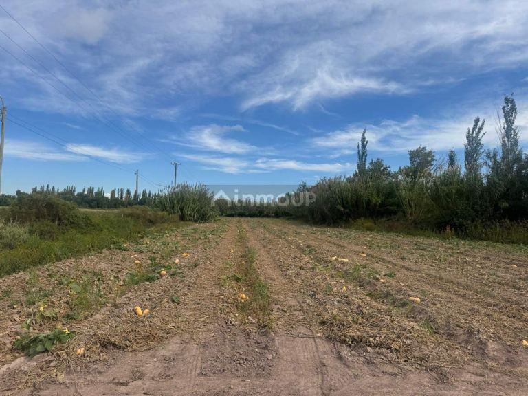 Terreno en Venta en Maipu, Mendoza