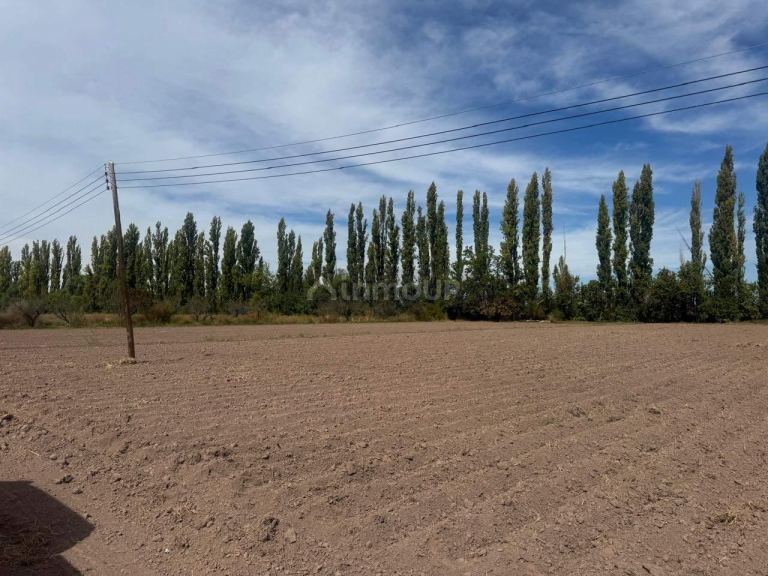 Terreno en Venta en Maipu, Mendoza