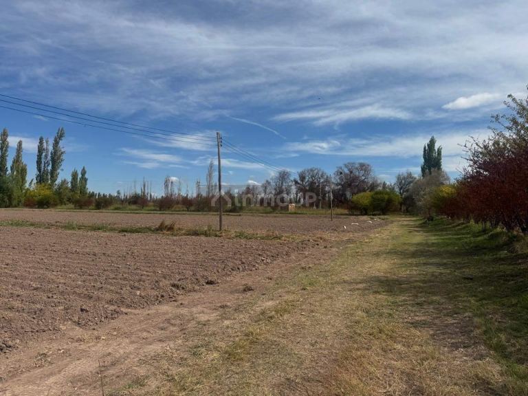 Terreno en Venta en Maipu, Mendoza