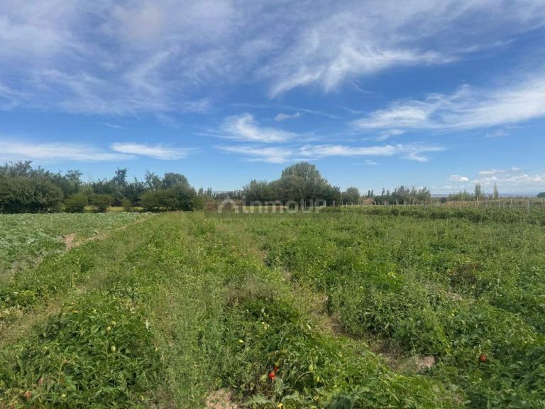 Terreno en Venta en Maipu, Mendoza