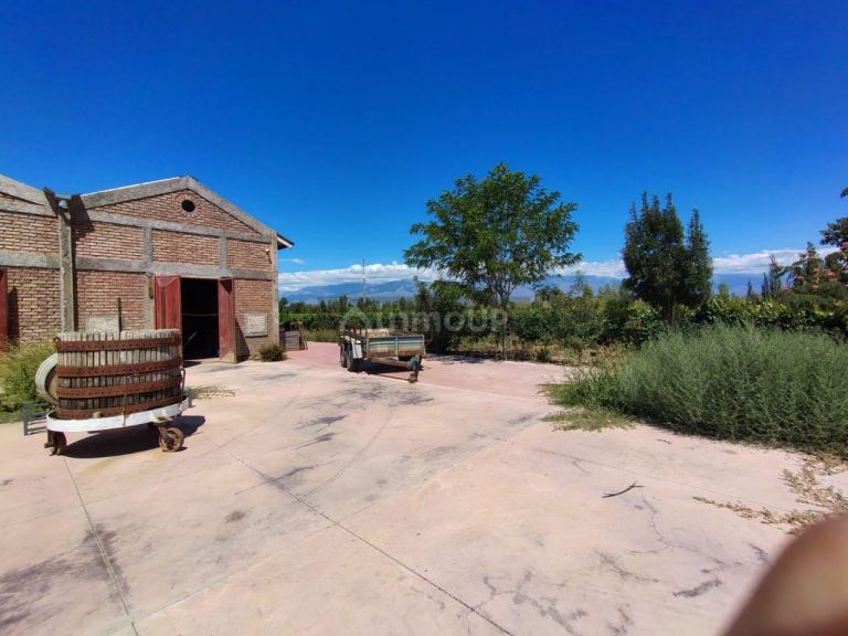 Finca en Venta en Tunuyan, Mendoza