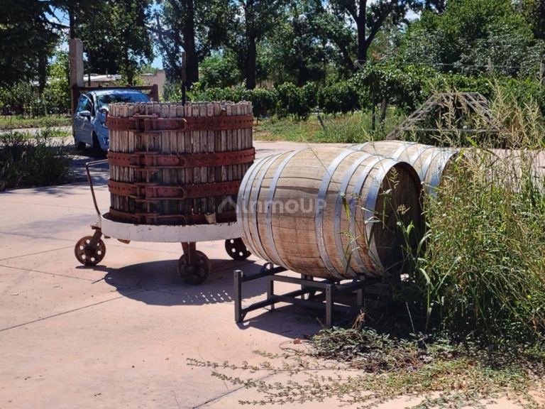 Finca en Venta en Tunuyan, Mendoza