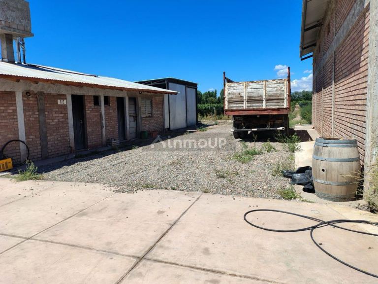 Finca en Venta en Tunuyan, Mendoza