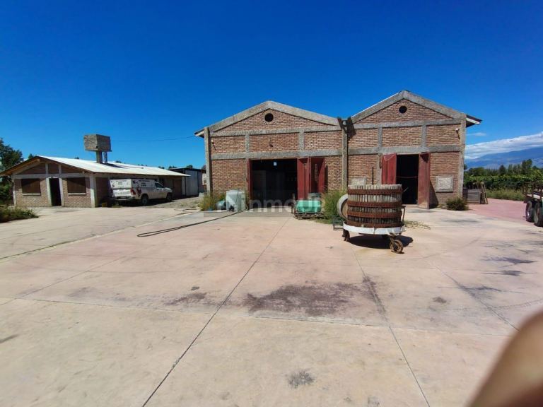 Finca en Venta en Tunuyan, Mendoza