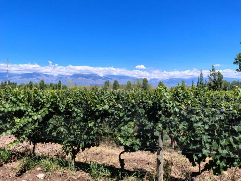 Finca en Venta en Tunuyan, Mendoza