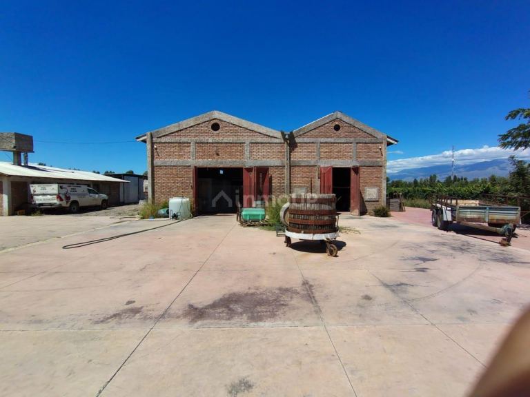 Finca en Venta en Tunuyan, Mendoza