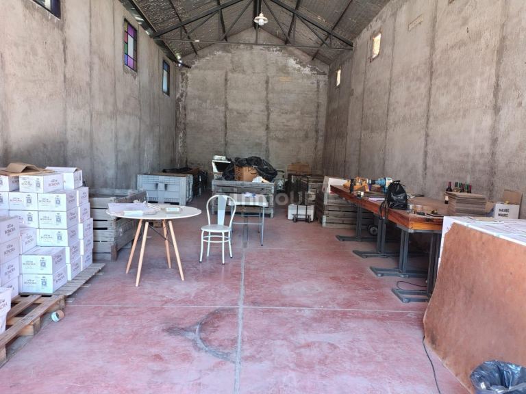 Finca en Venta en Tunuyan, Mendoza